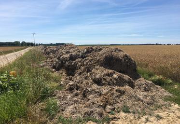L’indice de stabilité de la matière organique (ISMO) qui permet d’estimer le potentiel humique d’un produit est d’environ 60 % pour les fumiers de bovins,  mais il varie selon le niveau de paillage et la maturité. 
