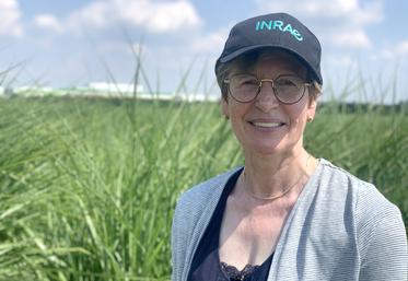 Maryse Brancourt-Hulmel et son équipe planchent sur la capacité de la plante à produire de la biomasse, et sur les services écosystémiques qu’elle peut rendre. 
