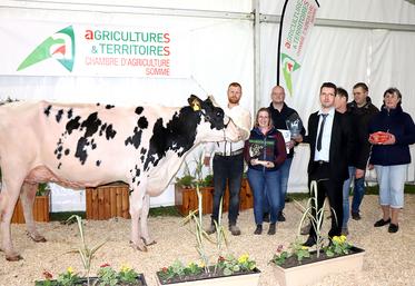 Papaye des Saules, grande championne de la foire de Montdidier 2023, appartient à la SCEA des Saules à Pisseleu (60). 
