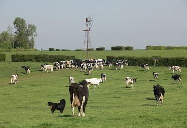 Produire davantage de lait peut être une solution pour accroître la marge globale de l’atelier, mais à plusieurs conditions. 