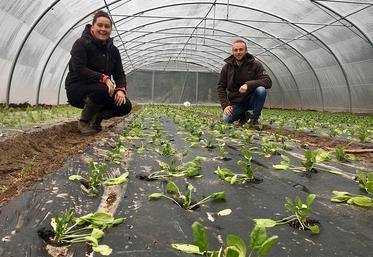 À Thiers-sur-Thève (60), Colette Ringeval et Corentin Bleyaeart ont trouvé le lieu propice au développement de leurs activités très diversifiées : maraîchage bio, poules pondeuses bio, production de miel,  pension de chevaux et vente à la ferme. 