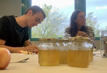 Les apiculteurs membres du jury ont tous été formés pour pouvoir caractériser le fameux miel de tilleul de Picardie. 