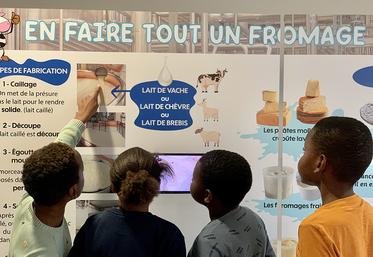 Au programme de la semaine du goût de Picardie lait : ateliers de découverte, dégustations et atelier de cuisine..