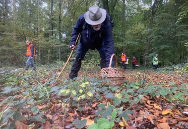 En matière de champignons, les risques de confusion sont grands. «Il faut être sûr de ce que l’on ramasse, sinon poubelle.»