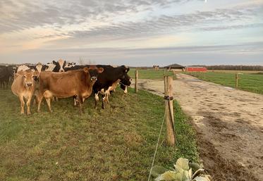 L’accès au pâturage est possible dès le 15 février et jusqu’en début d’hiver grâce à plus de 2 km de chemins aménagés. 