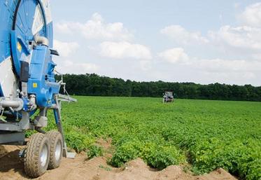 irrigation et pommes de terre