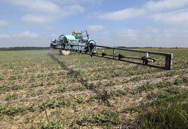 L’obligation du CSP découle de la loi Egalim dans le cadre de la séparation du conseil et de la vente des produits  phytopharmaceutiques. 