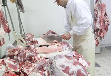 Depuis 2013, la production ovine s’est stabilisée et devrait se maintenir autour de 630 000 t au cours de la prochaine décennie, grâce à des paiements couplés volontaires et à la perspective de revenus stables pour les producteurs, explique la Commission.