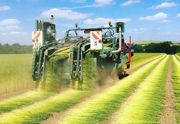 Simon Lemerchin a remporté le prix du public 2019 avec cette photo d’arrachage de lin.