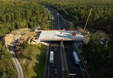 Le tablier de l’écopont mesure 52 mètres de long, 30 de large et sera recouvert d’ici quelques semaines de 50 centimètres de sol sableux et d’une végétalisation. 