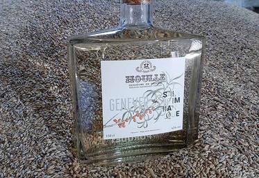 Le Genever for Saltimbanque est élaboré sur la base d’un «long drink»  auquel sont ajoutées en macération des baies d’argousiers récoltées  dans la vallée de la Somme. 