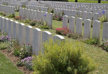 Sur les 3 143 soldats sud-africains présents à partir du 15 juillet 1916 au Bois  Delville, seuls 143 en sortiront vivants. 