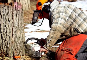 vis ma vie de bûcheron