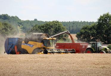 La fin de l’accord international sur l’acheminement des céréales en mer Noire s’ajoute à l’accumulation de céréales  ukrainiennes dans les pays d’Europe de l’Est. 