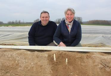 Benoît et Murielle Biberon cultivent des asperges blanches et vertes qu’ils transforment en partie et vendent sous l’étiquette Terroirs Hauts-de France.