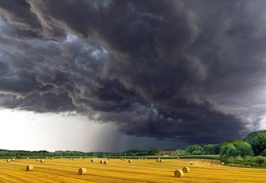 Le PJL définit trois niveaux de risque : le risque d’intensité faible, à la charge de l’agriculteur, le risque d’intensité moyenne, à la charge des assureurs, et les risques catastrophiques, pris en charge par l’État.
