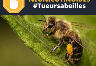 NNI et Générations Futures