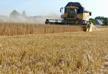 Compte de tenu de la hausse des charges et d'une valorisation moyenne pour les céréales, les exploitations spécialisées  dans cette production sont celles qui souffrent le plus en 2023.