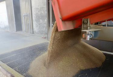 Face à un dossier d’AMM au point mort, le ministère de l’Agriculture met en avant la possibilité de s’appuyer sur les limites maximales applicables aux résidus (LMR) de pesticides. 