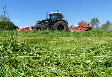 Pour rappel, les objectifs de taux de MS des fourrages sont les suivants : 35 % pour l’ensilage d’herbe, 45 % pour l’ensilage de légumineuses, 55-60 % pour l’enrubannage et 85 % pour le foin. 