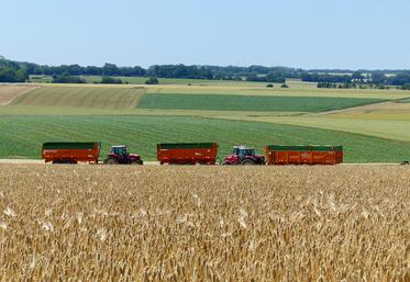 Après une bonne récolte source de revenus, la moyenne triennale peut être une option stratégique.