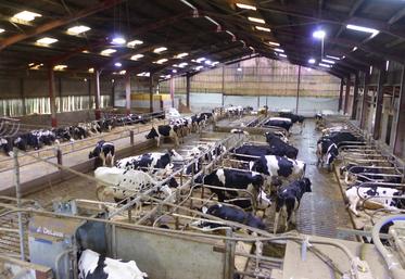 Pour l’élevage, les nouveautés sont axées sur des projets de modernisation des bâtiments d'élevage ou des équipements en faveur de l'autonomie alimentaire  des troupeaux.