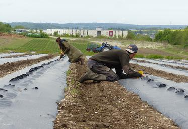 Les Hauts-de-France veulent par exemple faciliter l’installation grâce au test  en entreprise, qui permet le transfert de connaissances entre cédant et porteur. 
