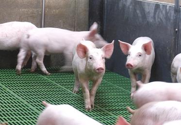 La tendance inflationniste reflète  les bouleversements de la filière. 