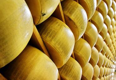 xJusqu’à 150 meules de parmigiano reggiano sont produites chaque jour  dans l’usine de Tricolore, près de Parme. 