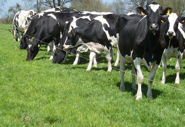 La gestion du pâturage, de préférence au fil et en respectant toujours la portance des sols, est importante. 