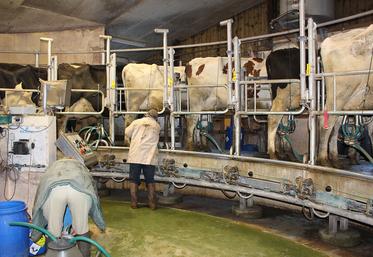 La traite a été réduite à 1h30.