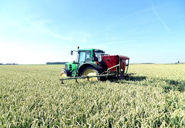 Semis à l’épandeur pneumatique à rampe, 30 jours avant moisson.