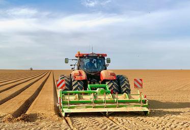 La technique de plantation en billons se pratique généralement pour la production de plants. Nicolas Sainte Beuve l’a adaptée à sa production de grenaille.
