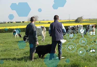 Il est essentiel d'impliquer les parties prenantes clés de l'entreprise (associés,  salariés, etc.) tout au long de ce processus pour garantir l'adhésion et le soutien  à la stratégie de l'entreprise.