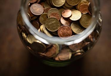 La campagne Pièces Jaunes accepte tous types de pièces (rouges et jaunes, centimes et euros),  les billets et même les francs. En 2022, les tirelires sont à faire soi-même.