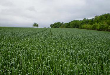 Il s’agit d’aller chercher la meilleure performance pour réduire le coût des charges fixes. 