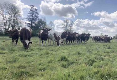 La gestion de l’herbe automnale conditionne la prochaine campagne d’herbe.