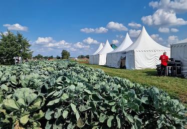 Au programme de la journée technique fruits et légumes, qui a eu lieu à Lorgies  le 14 septembre : visites de parcelles d'essais, rencontre avec les exposants  et conférences. 