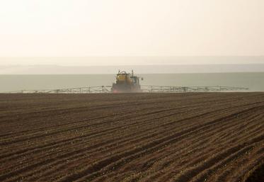 En 2022, le désherbage a été compliqué à gérer dans un certain nombre de parcelles. 