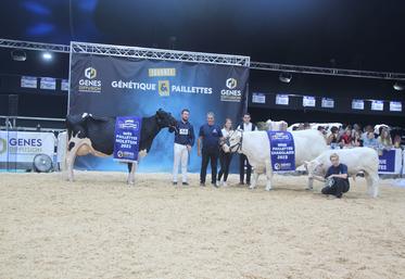 À gauche, Haissapom, miss paillettes holstein et à droite, Réaction P, miss paillettes charolaise. 