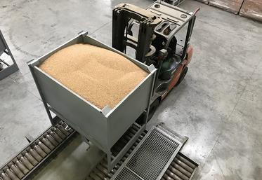 Le site de Nesle consomme 800 000 t de blé tendre par an pour la fabrication d’amidon. 