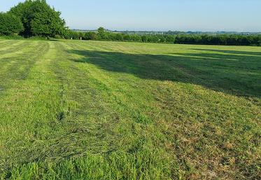 Lorsque les refus sont importants, il est préférable de les faucher et les exporter de la parcelle. 