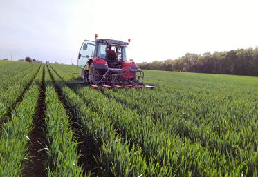 Le semis du soja est effectué avec un semoir monosem 7 rangs équipé d’éléments Precision planting (50 cm inter-rang). 