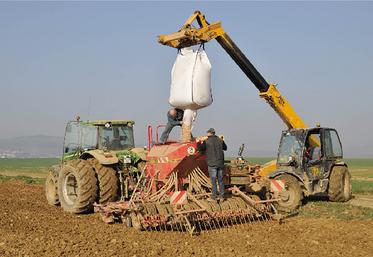 Le semis précoce de certaines espèces protéagineuses permet de limiter les risques de stress hydrique et thermique.