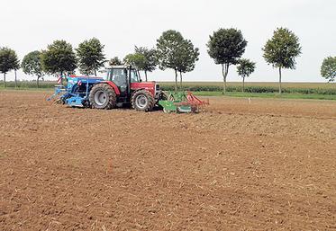 La qualité du semis conditionne la régularité du peuplement. Entre 1 500 et 1 800 plantes par m2, les rendements sont à l’optimum.