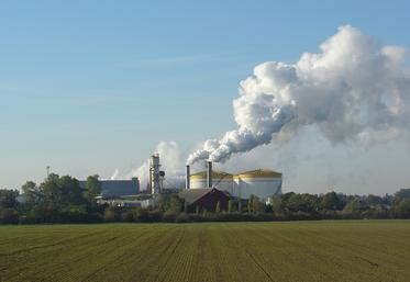Pour les planteurs Saint Louis Sucre le prix de la tonne de betteraves récoltées  en 2022 sera «de 40 € à 16 pour des betteraves entières, voire plus si la tendance haussière du marché se maintient». 