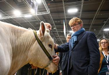 Fesneau Cour des comptes élevage
