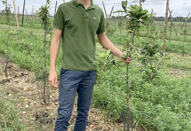 Mathis Taoufik doit attendre la deuxième floraison de ses pommiers  pour pouvoir récolter, en septembre prochain. 