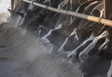 Pour optimiser les transports, Novial demande de la flexibilité aux éleveurs. Deux jours de battement pour la livraison  permettent une économie de kilomètres et d’émissions de carbone. 