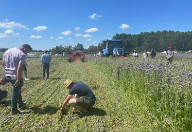 Festival de plein champ dédié à l’agriculture de conservation des sols.